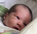 My First Son